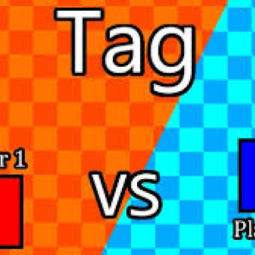 2 Player Tag